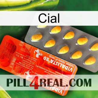 Cial new01